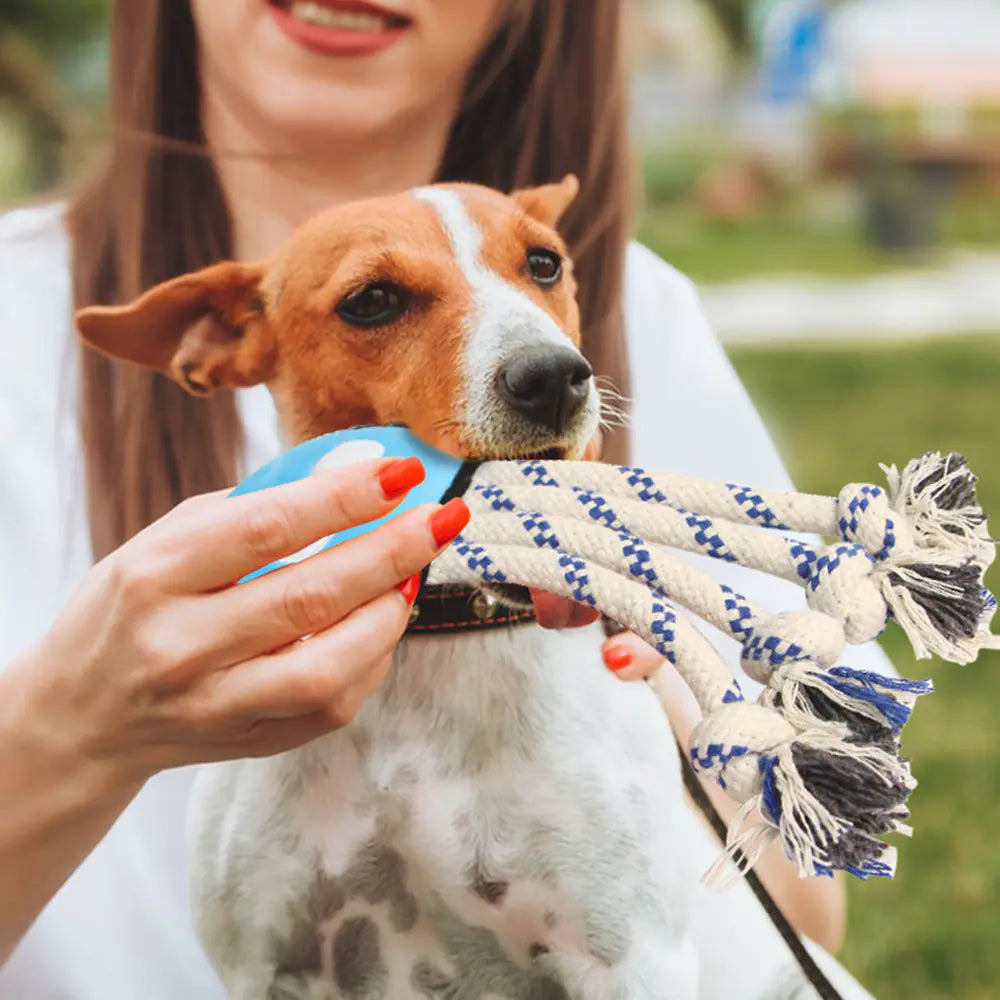 Octopus Dog Toy