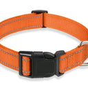  Orange (Medium)