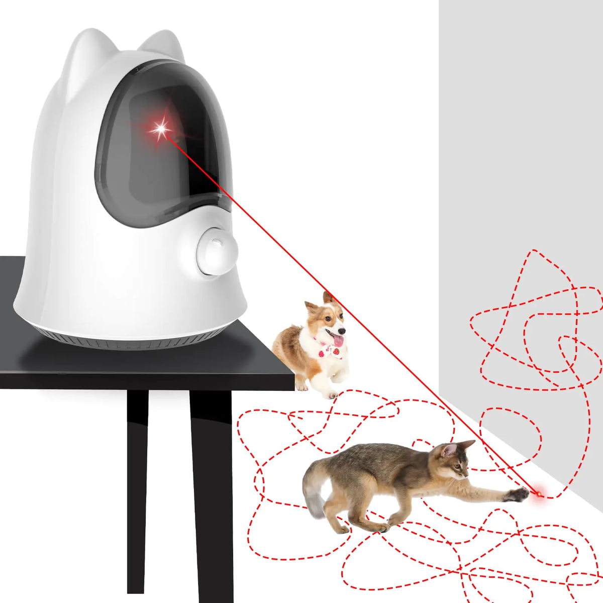 Cat Laser