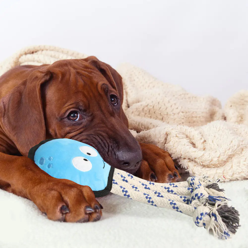 Octopus Dog Toy