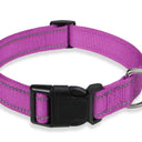  Purple (Large)